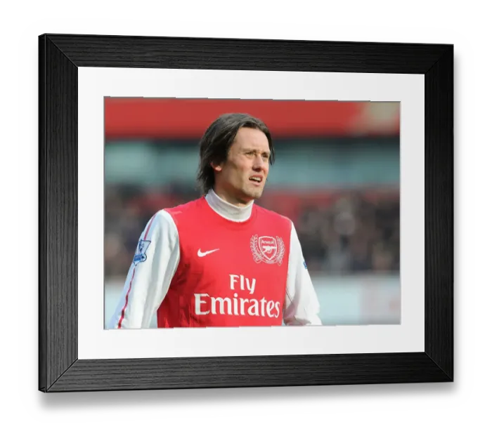 Framed Print : Arsenal's Rosicky Shines in Arsenal vs. Blackburn Rovers, Premier League 2011-12 Framed Print : Arsenal's Rosicky Shines in Arsenal vs. Blackburn Rovers, Premier League 2011-12