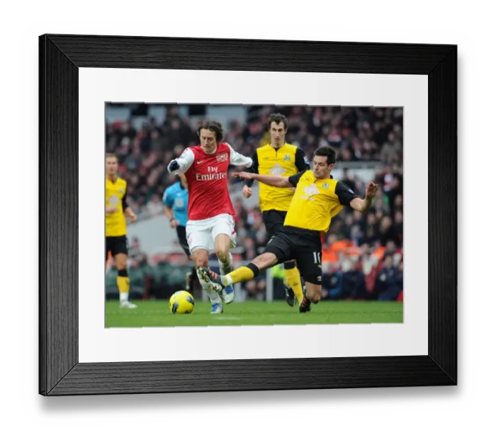 Framed Print : Arsenal's Rosicky Clashes with Blackburn's Dann in Premier League Showdown Framed Print : Arsenal's Rosicky Clashes with Blackburn's Dann in Premier League Showdown