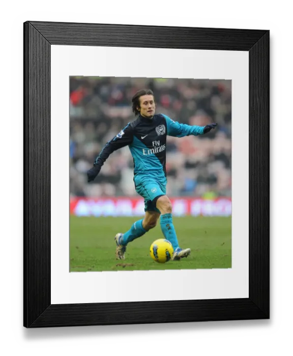 Framed Print : Tomas Rosicky (Arsenal). Sunderland 1: 2 Arsenal. Barclays Premier League