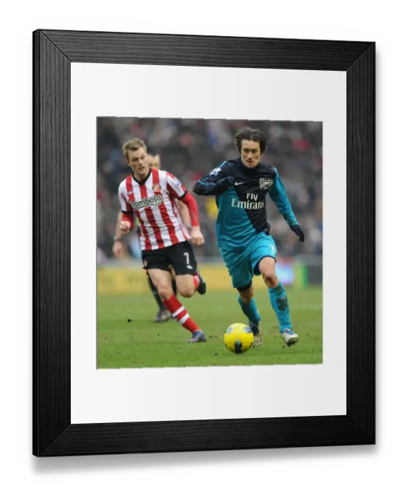 Framed Print : Tomas Rosicky (Arsenal) Seb Larsson (Sunderland). Sunderland 1: 2 Arsenal