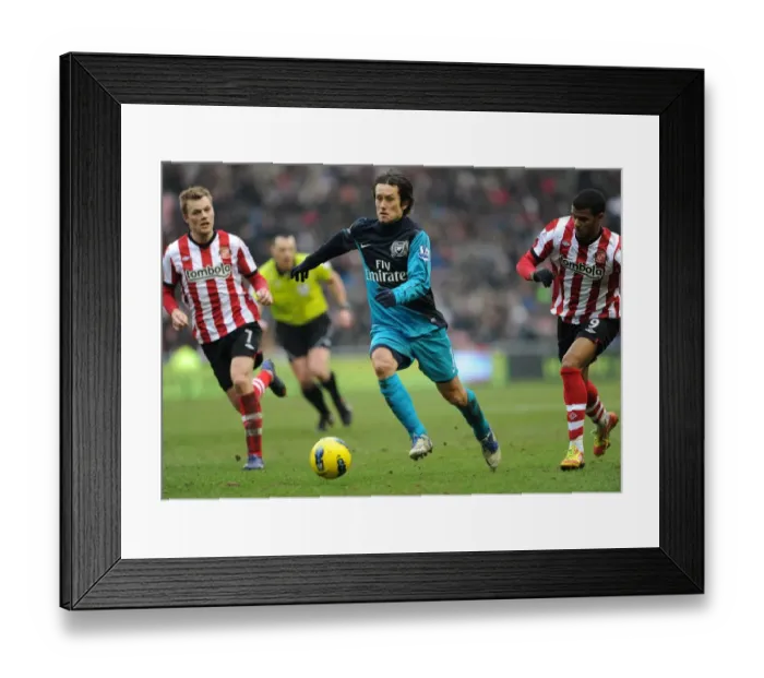 Framed Print : Tomas Rosicky (Arsenal) Seb Larsson and Frazer Campbell (Sunderland). Sunderland 1: 2 Arsenal