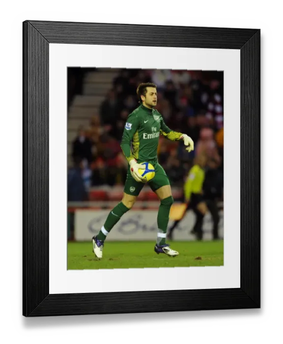 Framed Print : Lukasz Fabainski (Arsenal). Sunderland 2: 0 Arsenal. FA Cup 5th Round. Stadium of Light Framed Print : Lukasz Fabainski (Arsenal). Sunderland 2: 0 Arsenal. FA Cup 5th Round. Stadium of Light