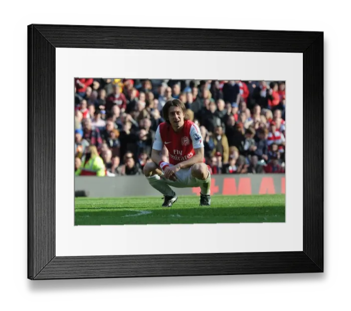 Framed Print : Arsenal's Rosicky Fights for Victory Against Tottenham in the Premier League (2011-12) Framed Print : Arsenal's Rosicky Fights for Victory Against Tottenham in the Premier League (2011-12)