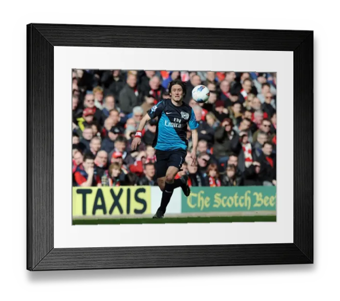 Framed Print : Rosicky in Action: Liverpool vs. Arsenal, Premier League 2011-12 Framed Print : Rosicky in Action: Liverpool vs. Arsenal, Premier League 2011-12