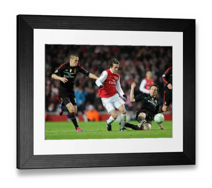 Framed Print : Arsenal's Champions League Triumph: Rosicky's Brilliance in Arsenal's 3-0 Win over AC Milan Framed Print : Arsenal's Champions League Triumph: Rosicky's Brilliance in Arsenal's 3-0 Win over AC Milan