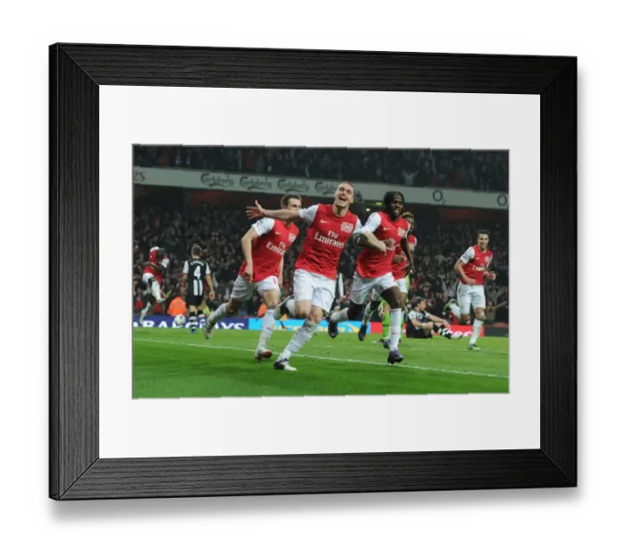 Framed Print : Robin van Persie's Brace: Arsenal's Triumph Over Newcastle United in the 2011-12 Premier League Framed Print : Robin van Persie's Brace: Arsenal's Triumph Over Newcastle United in the 2011-12 Premier League
