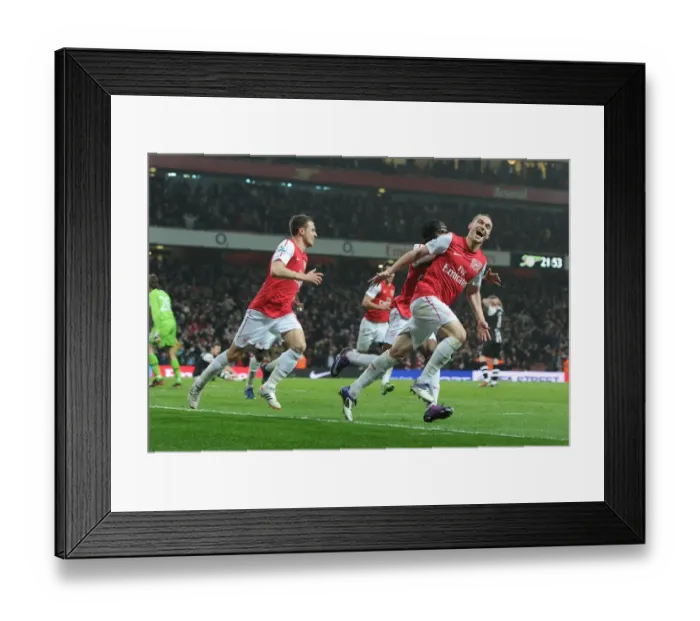 Framed Print : Thomas Vermaelen's Strike: Arsenal's Triumph Over Newcastle United in the Premier League 2011-12 Framed Print : Thomas Vermaelen's Strike: Arsenal's Triumph Over Newcastle United in the Premier League 2011-12