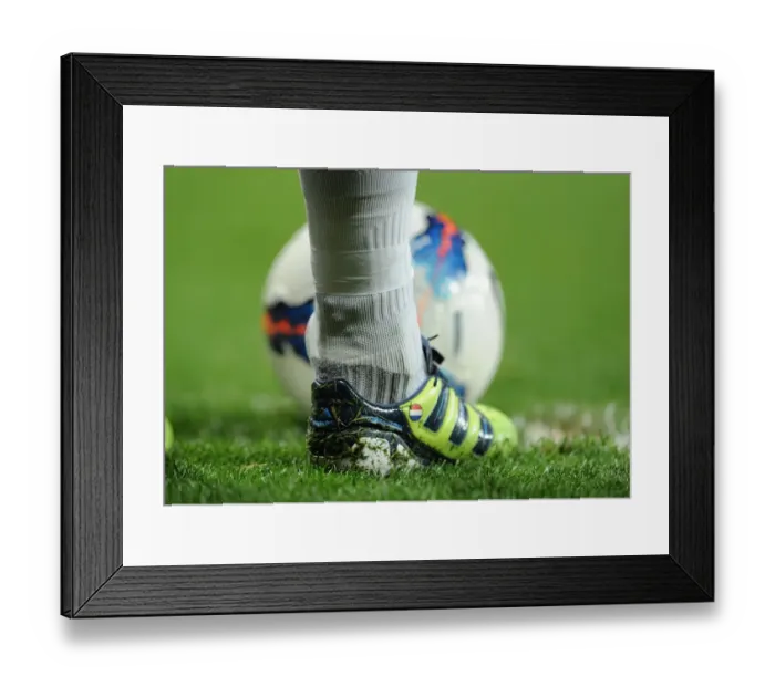Framed Print : Robin van Persie in Action: Arsenal vs Newcastle United, Premier League 2011-12 Framed Print : Robin van Persie in Action: Arsenal vs Newcastle United, Premier League 2011-12