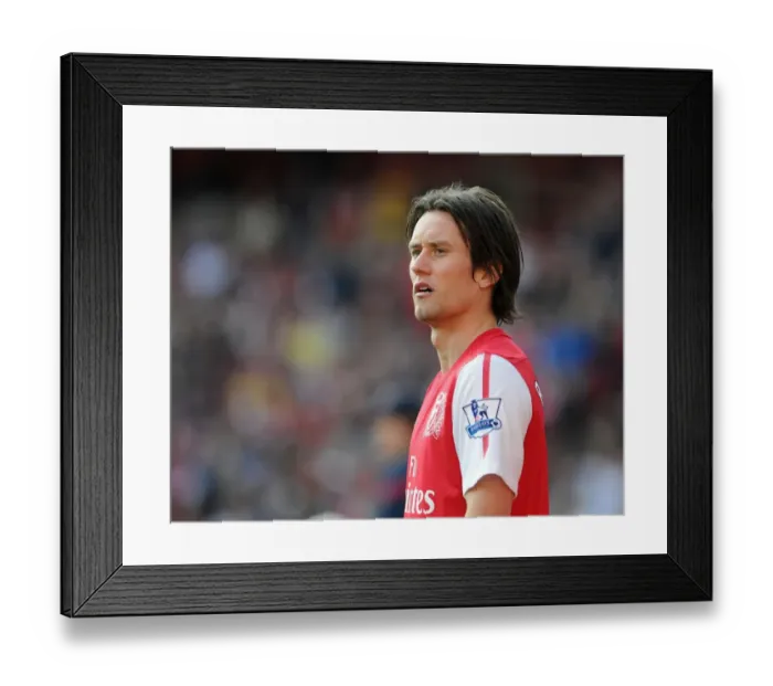Framed Print : Arsenal's Triumph: Rosicky's Brilliance Leads Arsenal to 3-0 Victory over Aston Villa in the Premier League (2011-12)