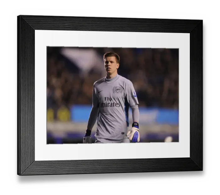 Framed Print : Wojciech Szczesny Focused: Everton vs Arsenal, Premier League 2011-12