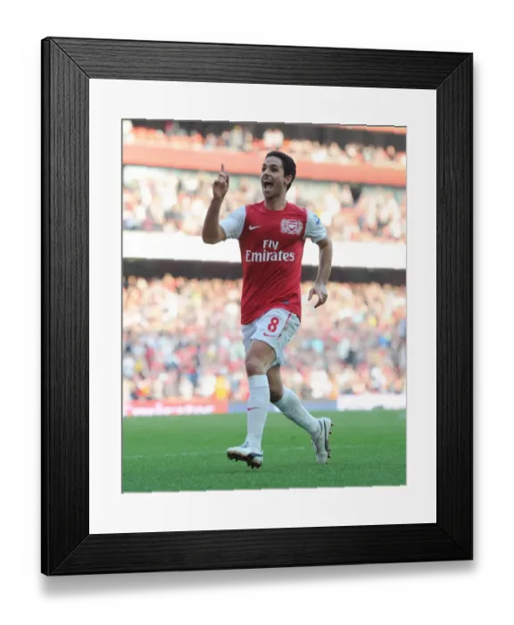 Framed Print : Arsenal vs Aston Villa: Premier League Showdown at Emirates Stadium, 2011-12