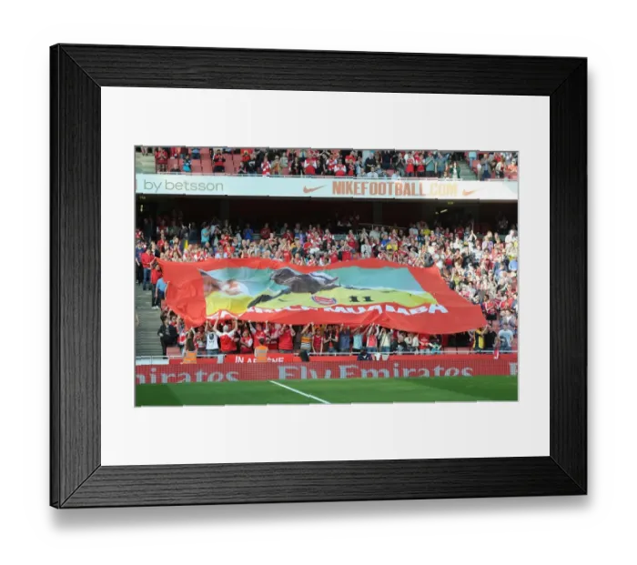 Framed Print : Arsenal vs Aston Villa: Premier League Showdown at Emirates Stadium (2011-12) Framed Print : Arsenal vs Aston Villa: Premier League Showdown at Emirates Stadium (2011-12)