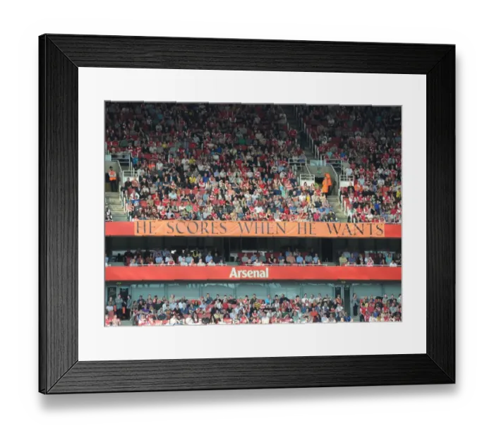 Framed Print : Arsenal vs Aston Villa: Premier League Showdown at Emirates Stadium, March 2012 Framed Print : Arsenal vs Aston Villa: Premier League Showdown at Emirates Stadium, March 2012