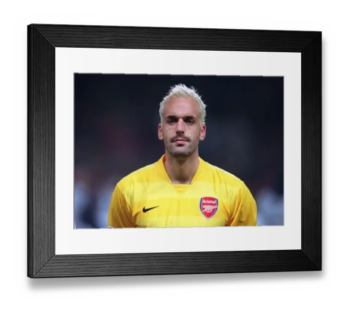 Framed Print : Manuel Almunia's Historic Shutout: Arsenal Crushes Slavia Prague 7-0 in Champions League Framed Print : Manuel Almunia's Historic Shutout: Arsenal Crushes Slavia Prague 7-0 in Champions League