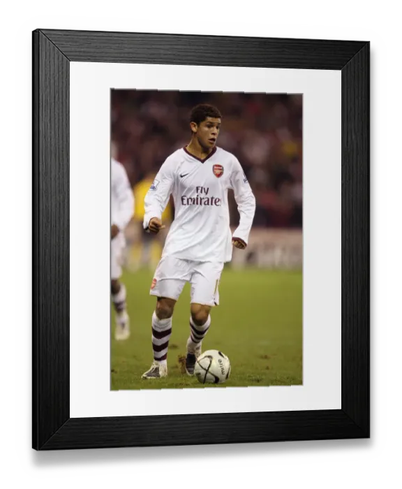 Framed Print : Denilson's Triumph: Arsenal's 3-0 Carling Cup Victory Over Sheffield United