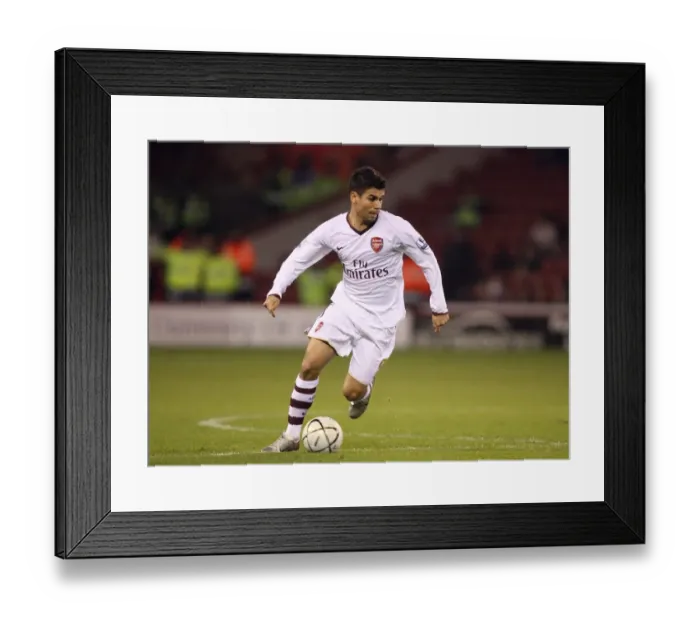 Framed Print : Eduardo's Hat-Trick: Arsenal's 3-0 Victory Over Sheffield United in Carling Cup Framed Print : Eduardo's Hat-Trick: Arsenal's 3-0 Victory Over Sheffield United in Carling Cup
