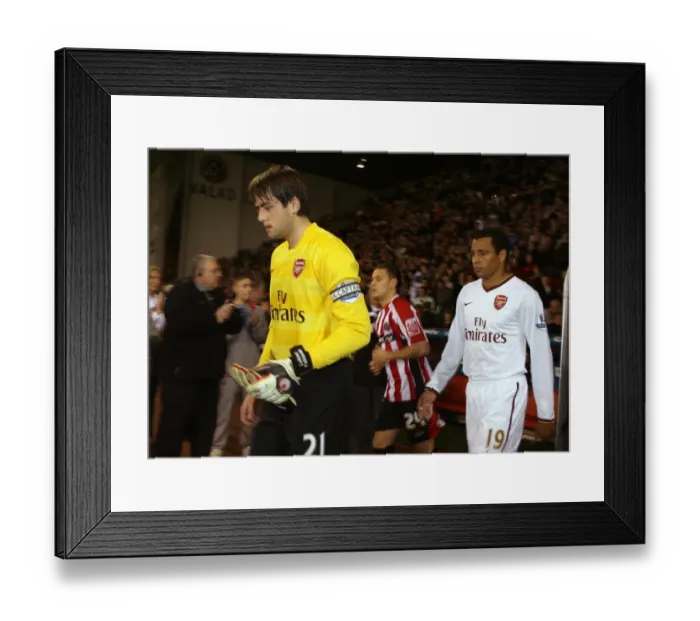 Framed Print : Lukasz Fabianski and Gilberto (Arsenal) Framed Print : Lukasz Fabianski and Gilberto (Arsenal)