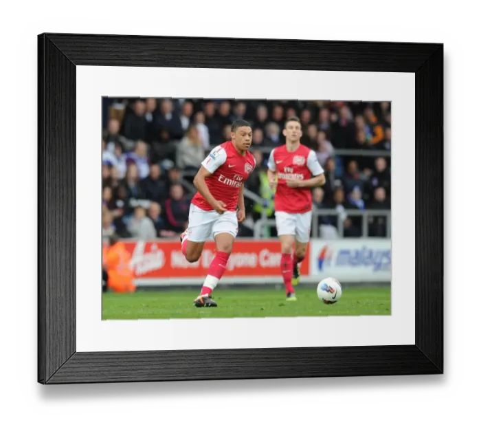 Framed Print : Arsenal's Alex Oxlade-Chamberlain in Action against Queens Park Rangers (2011-12) Framed Print : Arsenal's Alex Oxlade-Chamberlain in Action against Queens Park Rangers (2011-12)