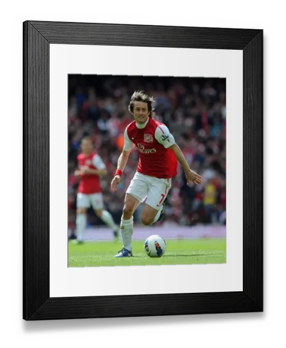 Framed Print : Arsenal's Tomas Rosicky in Action Against Chelsea (2011-12)
