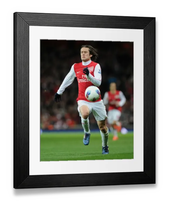 Framed Print : Arsenal's Tomas Rosicky in Action: Arsenal vs Wigan Athletic (2011-12 Premier League) Framed Print : Arsenal's Tomas Rosicky in Action: Arsenal vs Wigan Athletic (2011-12 Premier League)