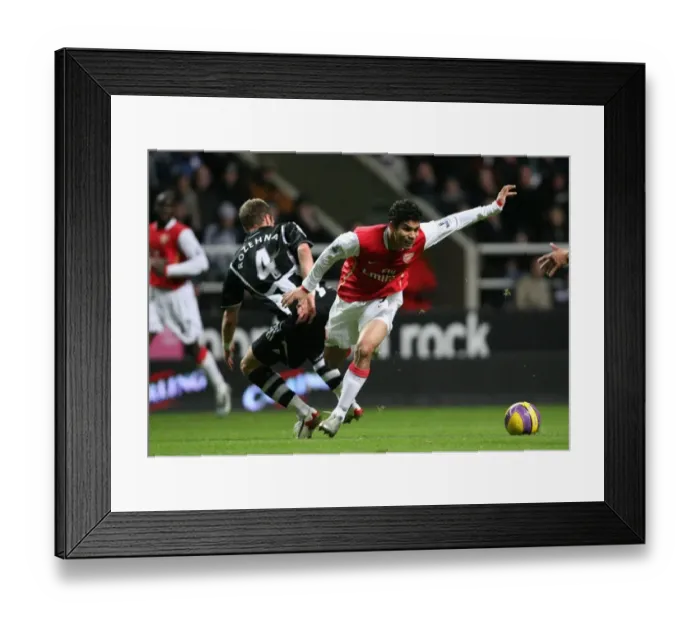 Framed Print : Eduardo (Arsenal) David Rozehnal (Newcastle) Framed Print : Eduardo (Arsenal) David Rozehnal (Newcastle)