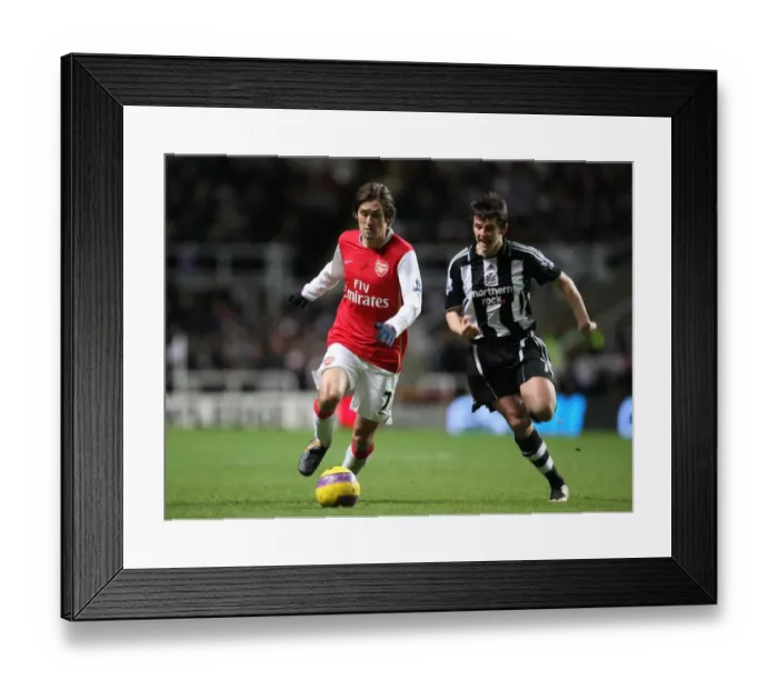 Framed Print : Tomas Rosicky (Arsenal) Joey Barton (Newcastle)