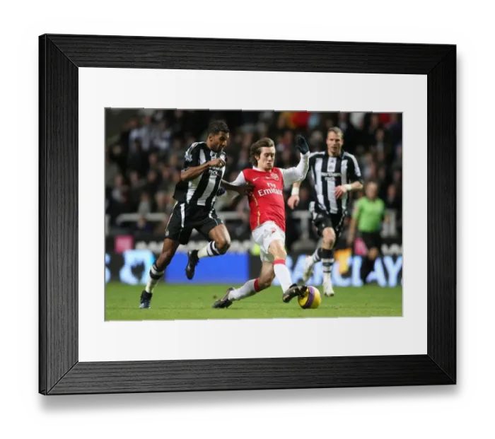 Framed Print : Tomas Rosicky (Arsenal) Habib Beye (Newcastle) Framed Print : Tomas Rosicky (Arsenal) Habib Beye (Newcastle)