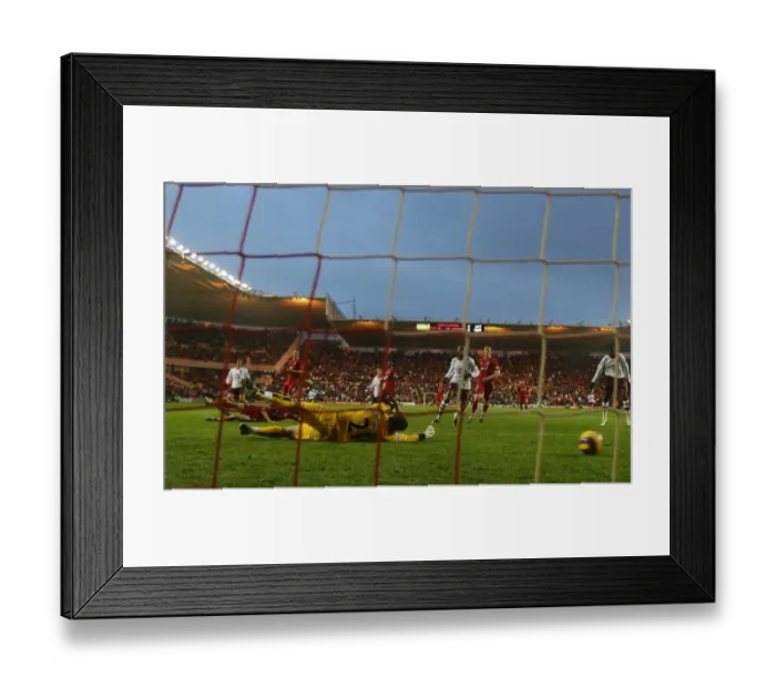 Framed Print : Tomas Rosicky scores Arsenals goal past Ross Turnbull (Middlesbrough) Framed Print : Tomas Rosicky scores Arsenals goal past Ross Turnbull (Middlesbrough)