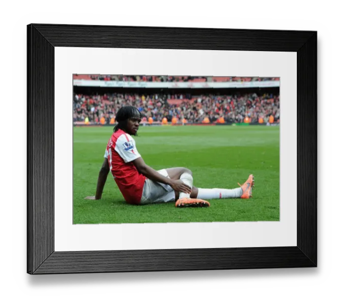 Framed Print : Gervinho Celebrates Arsenal's Victory Over Norwich City (2011-12) Framed Print : Gervinho Celebrates Arsenal's Victory Over Norwich City (2011-12)