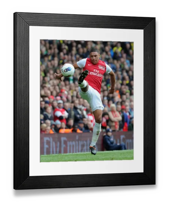 Framed Print : Alex Oxlade-Chamberlain in Action: Arsenal vs Norwich City, Premier League 2011-12 Framed Print : Alex Oxlade-Chamberlain in Action: Arsenal vs Norwich City, Premier League 2011-12