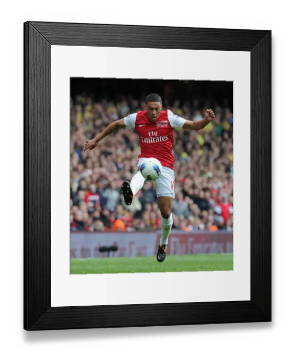 Framed Print : Arsenal's Alex Oxlade-Chamberlain in Action Against Norwich City, Premier League 2011-12 Framed Print : Arsenal's Alex Oxlade-Chamberlain in Action Against Norwich City, Premier League 2011-12