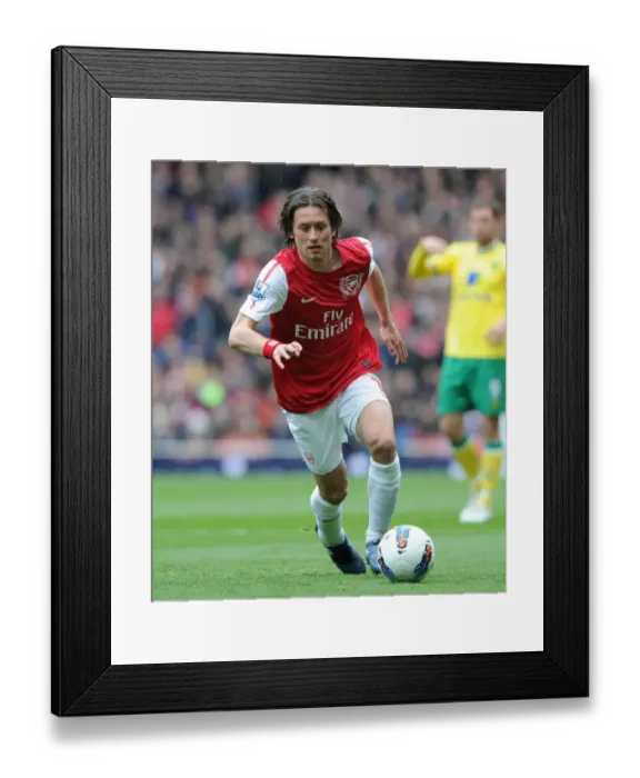 Framed Print : Tomas Rosicky (Arsenal). Arsenal 3: 3 Norwich City. Barclays Premier League