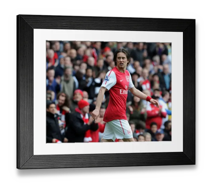 Framed Print : Arsenal's Tomas Rosicky in Action against Norwich City (2012)