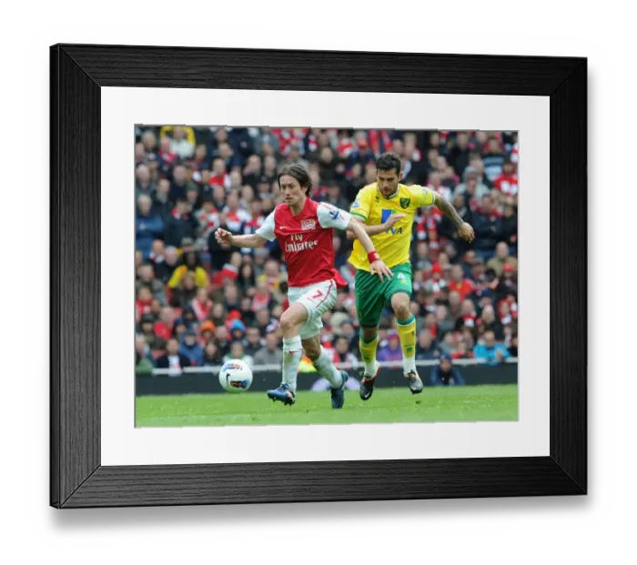 Framed Print : Arsenal's Tomas Rosicky Battles Norwich's Bradley Johnson in Premier League Showdown Framed Print : Arsenal's Tomas Rosicky Battles Norwich's Bradley Johnson in Premier League Showdown