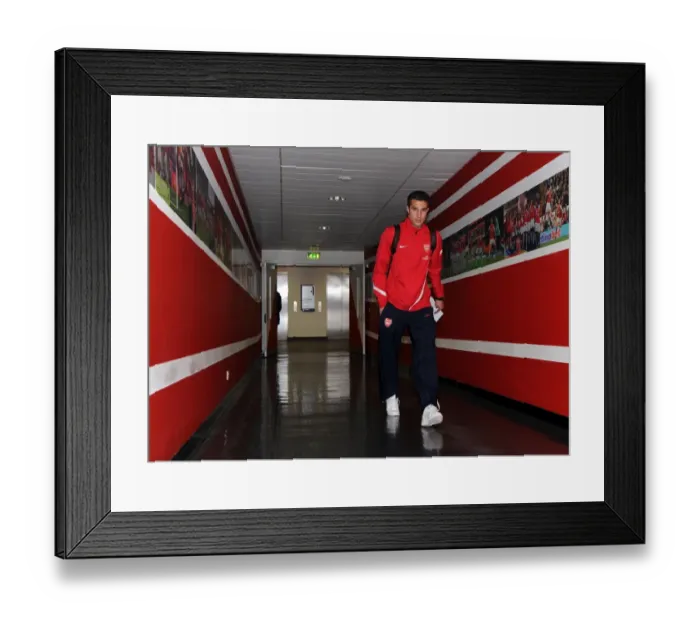 Framed Print : Robin van Persie's Thrilling Hat-Trick: Arsenal 3-3 Norwich City, Premier League 2011-12 Framed Print : Robin van Persie's Thrilling Hat-Trick: Arsenal 3-3 Norwich City, Premier League 2011-12