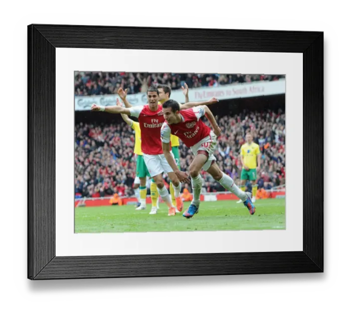 Framed Print : Robin van Persie celebrates scoring his 2nd goal for Arsenal. Arsenal 3: 3 Norwich City Framed Print : Robin van Persie celebrates scoring his 2nd goal for Arsenal. Arsenal 3: 3 Norwich City