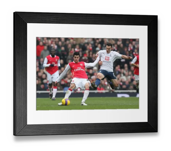 Framed Print : Cesc Fabregas (Arsenal) Steed Malbranque (Spurs) Framed Print : Cesc Fabregas (Arsenal) Steed Malbranque (Spurs)