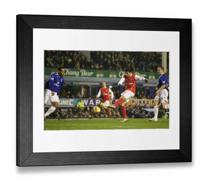 Framed Print : Eduardo's Debut Goal: Arsenal Crushes Everton 4-1 (Barclays Premier League, 2007) Framed Print : Eduardo's Debut Goal: Arsenal Crushes Everton 4-1 (Barclays Premier League, 2007)
