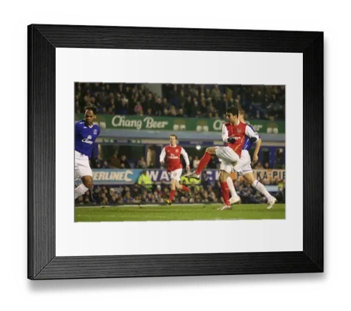 Framed Print : Eduardo scores his and Arsenals 1st goal past Joleon Lescott (Everton) Framed Print : Eduardo scores his and Arsenals 1st goal past Joleon Lescott (Everton)