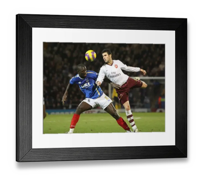  : Cesc Fabregas (Arsenal) Papa Boupa Diop (Portsmouth)