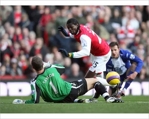 Emmanuel Adebayor (Arsenal) Maik Taylor (Birmingham)