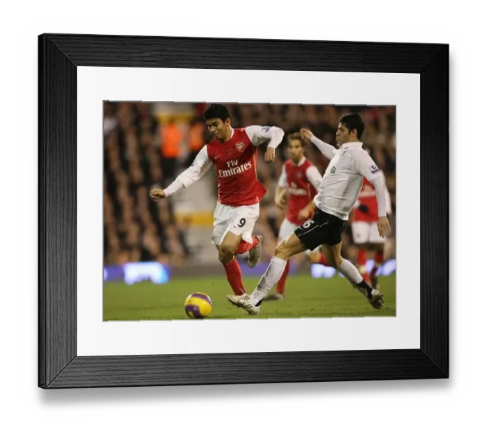 : Eduardo (Arsenal) Dejan Stefanovic (Fulham) : Eduardo (Arsenal) Dejan Stefanovic (Fulham)