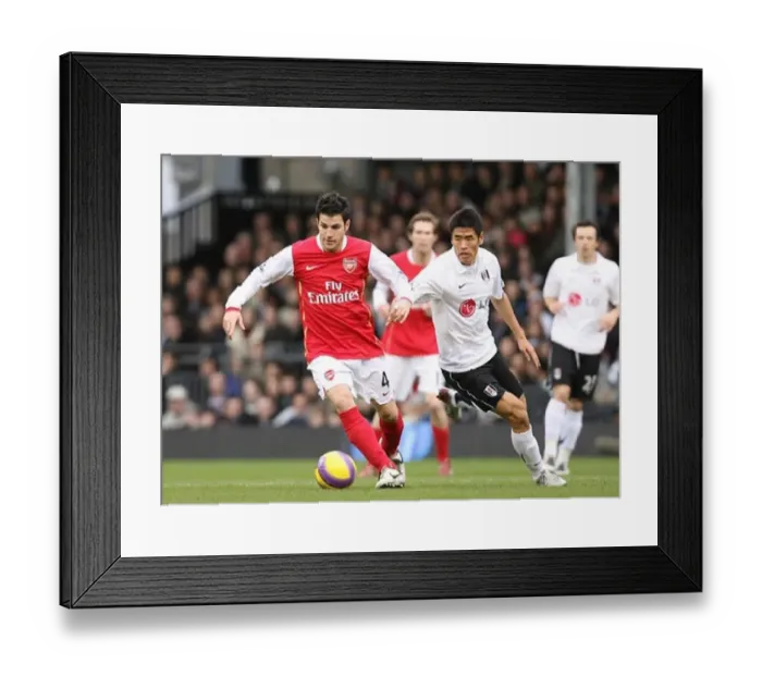  : Cesc Fabregas (Arsenal) Seol Ki-Hyeon (Fulham)