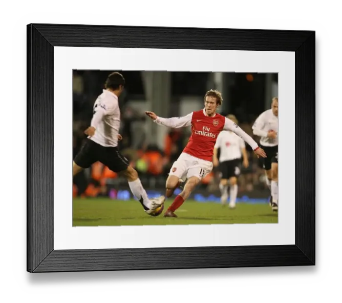  : Alex Hleb (Arsenal) Dejan Stefanovic (Fulham)