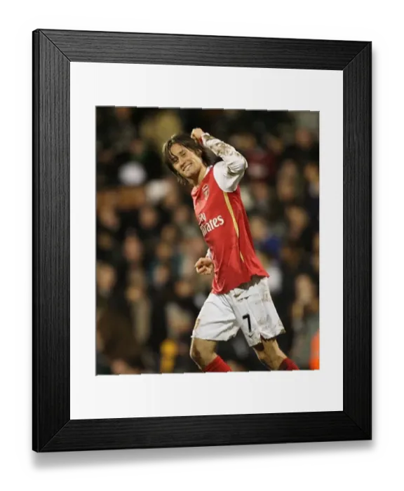 : Tomas Rosicky celebrates scoring the 3rd Arsenal goal : Tomas Rosicky celebrates scoring the 3rd Arsenal goal