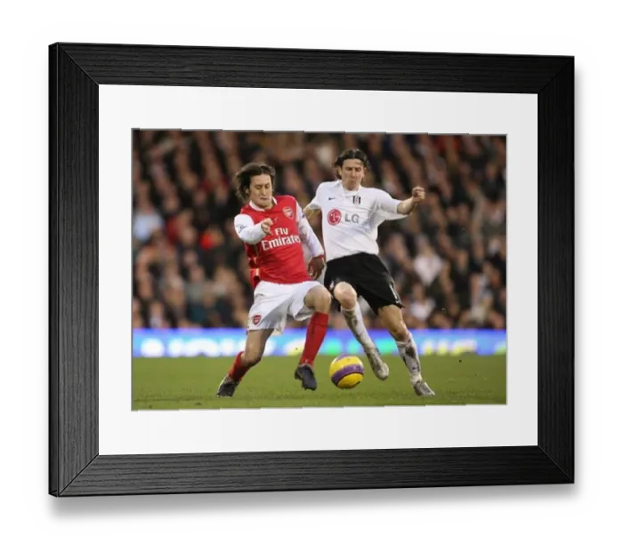 : Tomas Rosicky (Arsenal) Alexi Smertin (Fulham) : Tomas Rosicky (Arsenal) Alexi Smertin (Fulham)
