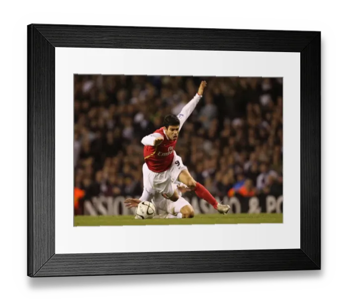 Framed Print : Eduardo (Arsenal) Jermaine Jenas (Tottenham) Framed Print : Eduardo (Arsenal) Jermaine Jenas (Tottenham)