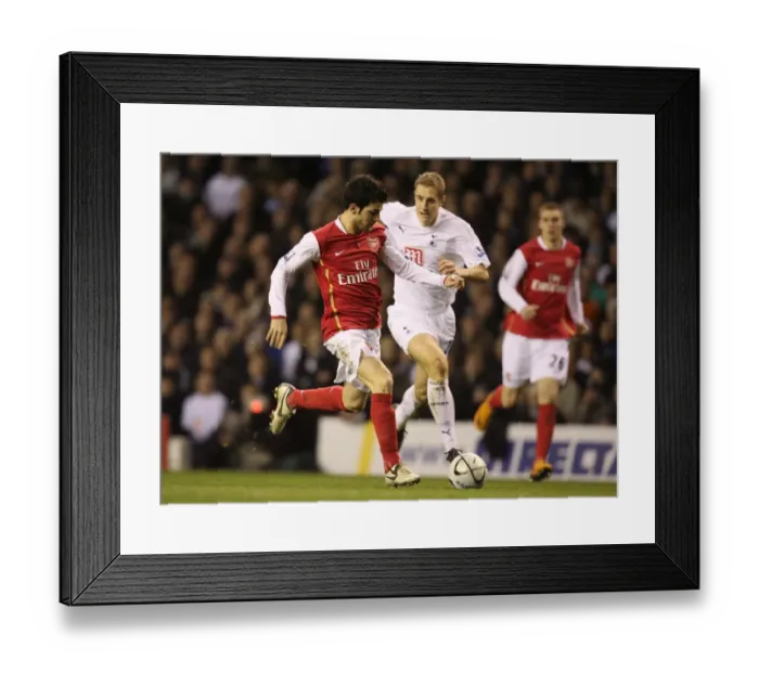 Framed Print : Cesc Fabregas (Arsenal) Michael Dawson (Tottenham) Framed Print : Cesc Fabregas (Arsenal) Michael Dawson (Tottenham)