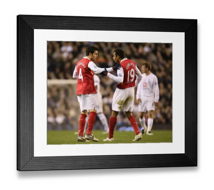 Framed Print : Cesc Fabregas and Gilberto (Arsenal) Framed Print : Cesc Fabregas and Gilberto (Arsenal)