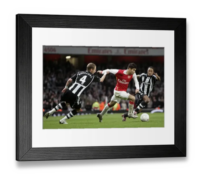 Framed Print : Eduardo (Arsenal) David Rozehnal and Kazenga Lualua (Newcastle) Framed Print : Eduardo (Arsenal) David Rozehnal and Kazenga Lualua (Newcastle)